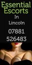 Lincoln Escorts by Essential